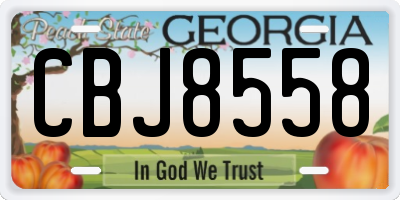 GA license plate CBJ8558