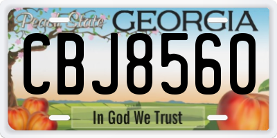 GA license plate CBJ8560