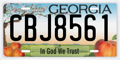 GA license plate CBJ8561