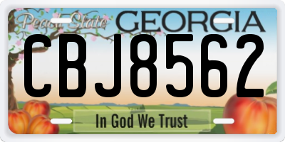 GA license plate CBJ8562