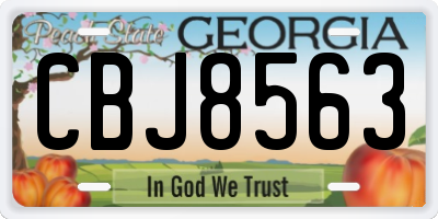 GA license plate CBJ8563
