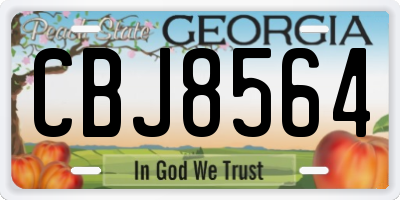 GA license plate CBJ8564
