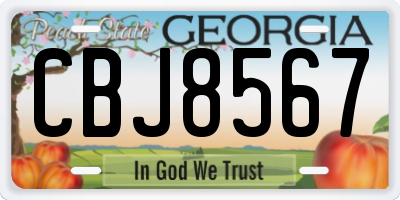 GA license plate CBJ8567