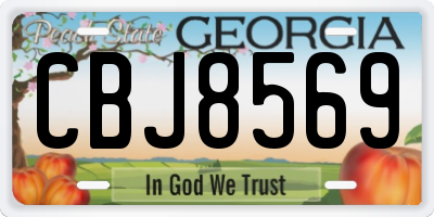 GA license plate CBJ8569