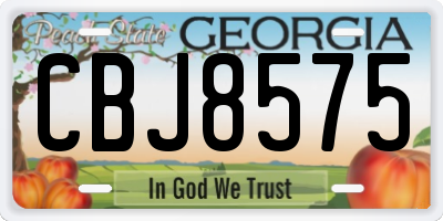GA license plate CBJ8575