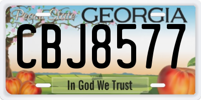 GA license plate CBJ8577