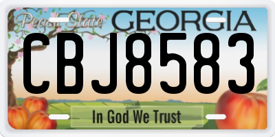 GA license plate CBJ8583