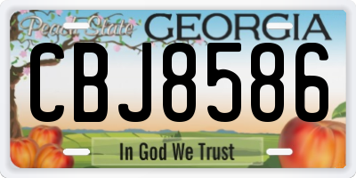 GA license plate CBJ8586