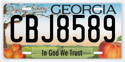 GA license plate CBJ8589