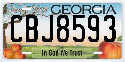 GA license plate CBJ8593