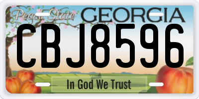 GA license plate CBJ8596