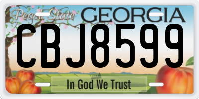 GA license plate CBJ8599