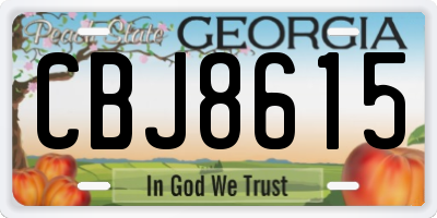 GA license plate CBJ8615