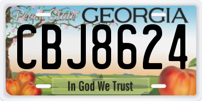 GA license plate CBJ8624