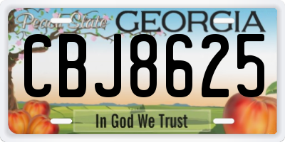 GA license plate CBJ8625