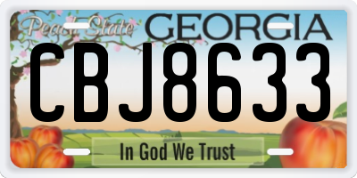 GA license plate CBJ8633
