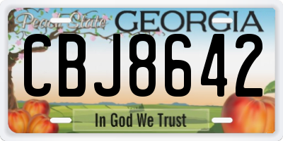 GA license plate CBJ8642
