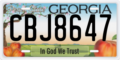 GA license plate CBJ8647