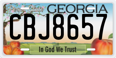 GA license plate CBJ8657
