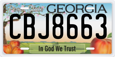 GA license plate CBJ8663