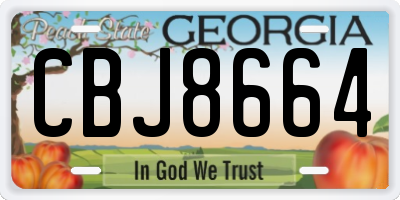 GA license plate CBJ8664