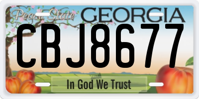 GA license plate CBJ8677