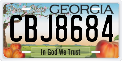 GA license plate CBJ8684