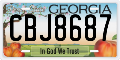 GA license plate CBJ8687
