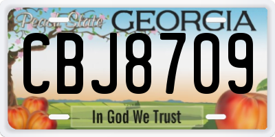 GA license plate CBJ8709