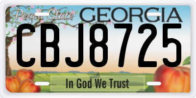 GA license plate CBJ8725