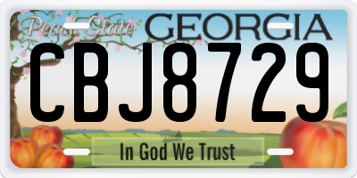GA license plate CBJ8729