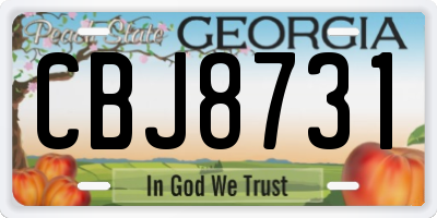 GA license plate CBJ8731