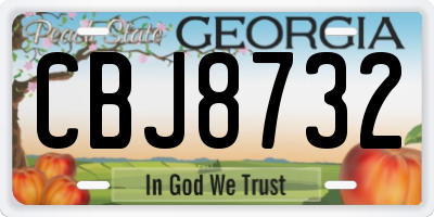 GA license plate CBJ8732
