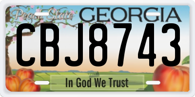 GA license plate CBJ8743