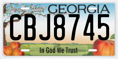 GA license plate CBJ8745