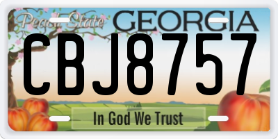 GA license plate CBJ8757