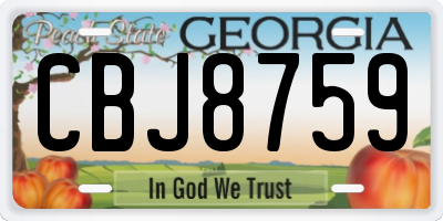 GA license plate CBJ8759
