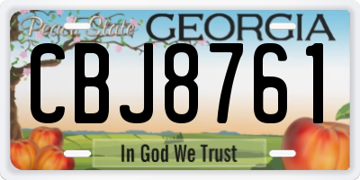 GA license plate CBJ8761