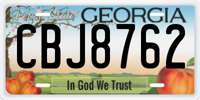GA license plate CBJ8762
