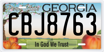 GA license plate CBJ8763