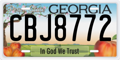 GA license plate CBJ8772