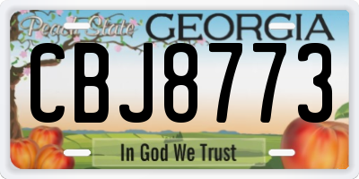GA license plate CBJ8773