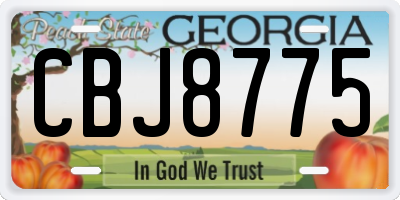 GA license plate CBJ8775