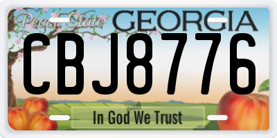 GA license plate CBJ8776