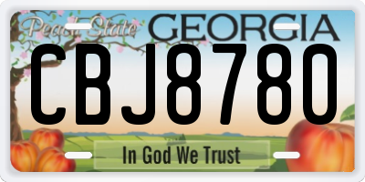GA license plate CBJ8780