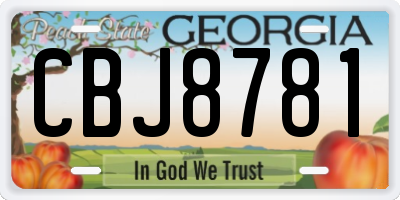 GA license plate CBJ8781
