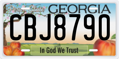 GA license plate CBJ8790