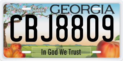 GA license plate CBJ8809