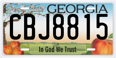 GA license plate CBJ8815