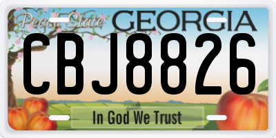 GA license plate CBJ8826